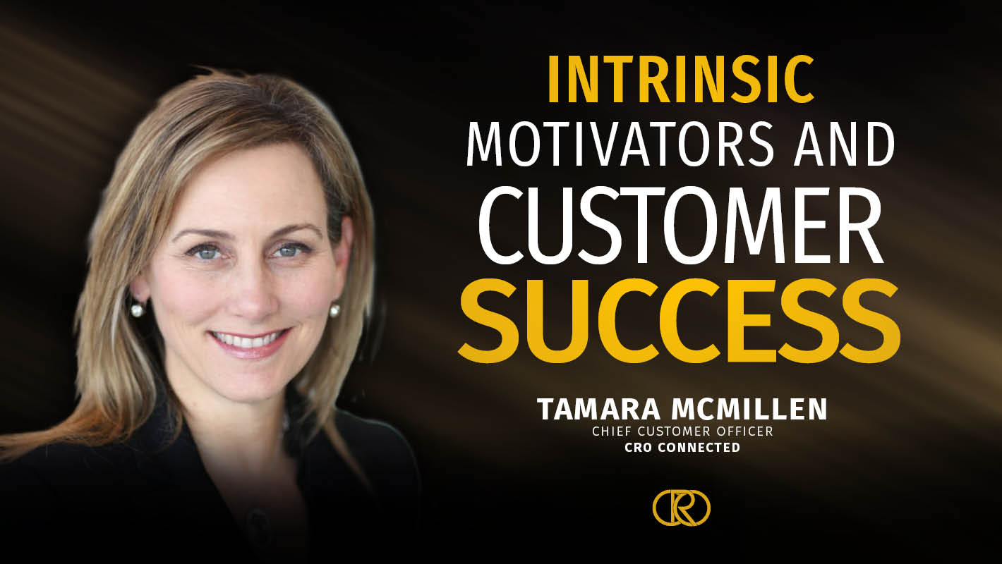 Intrinsic motivators and customer success