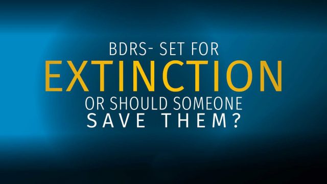 BDRS – Set for Extinction or should someone save them?